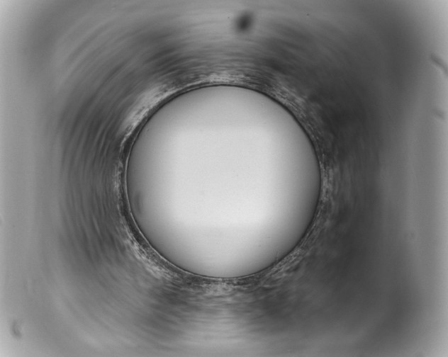 X0000099560098200805301549