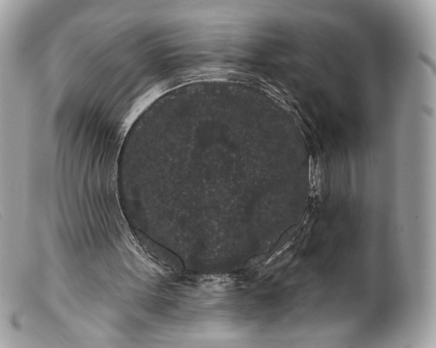 X0000099560099200805301549