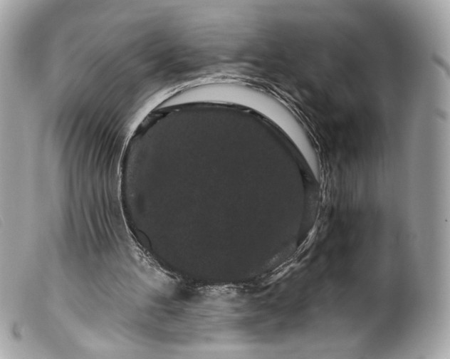 X0000099560100200805301549