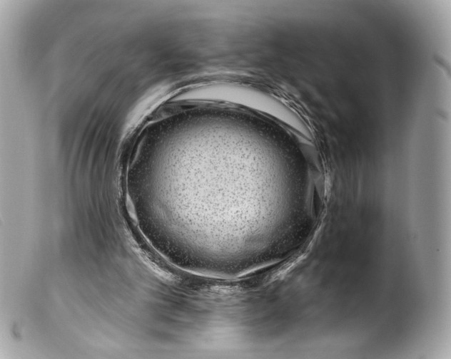 X0000099560101200805301549