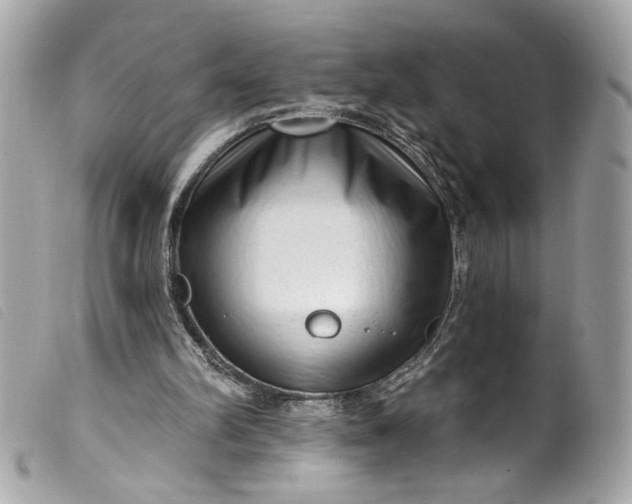 X0000099560102200805301549