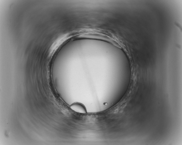 X0000099560103200805301549