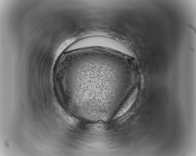 X0000099560104200805301549