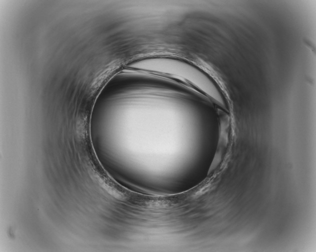 X0000099560105200805301549