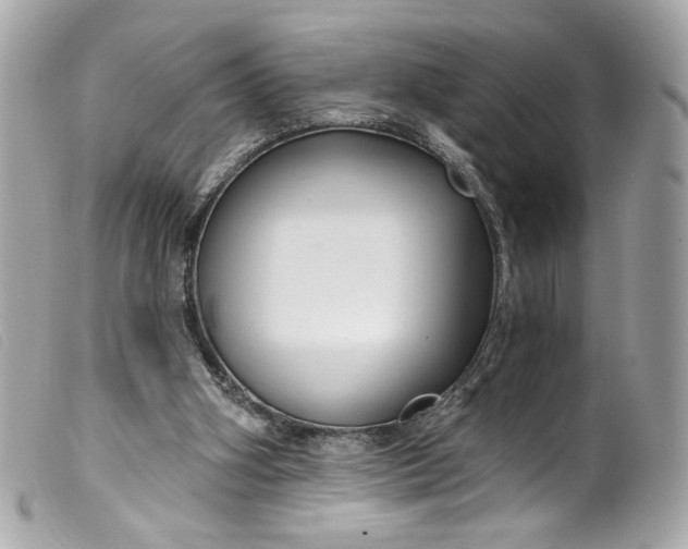 X0000099560106200805301549