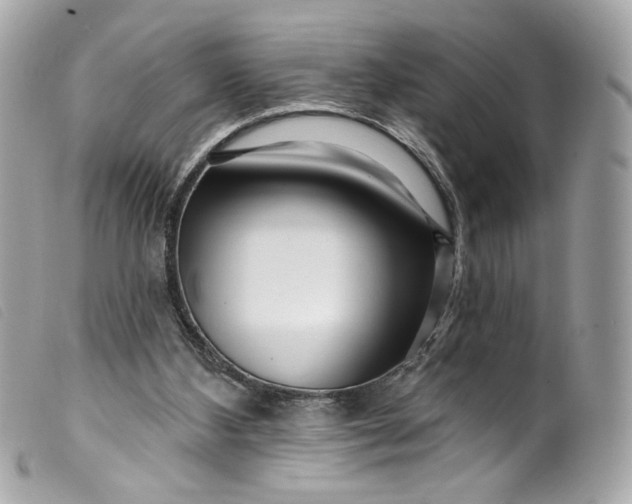 X0000099560108200805301549