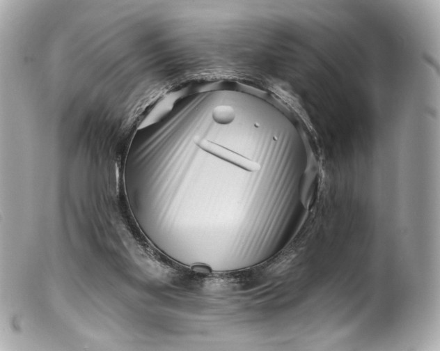 X0000099560109200805301549