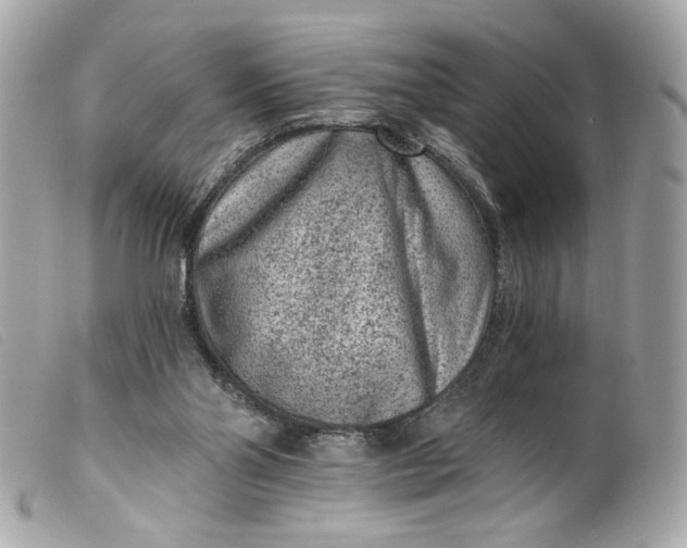 X0000099560110200805301549