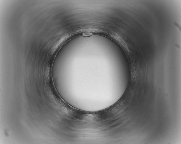 X0000099560111200805301549