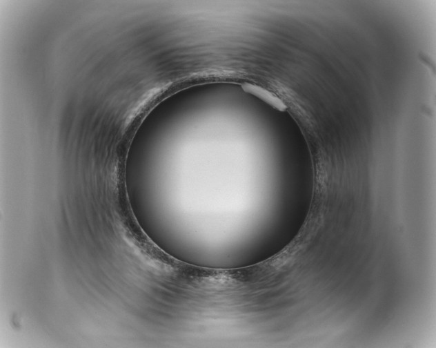 X0000099560112200805301549