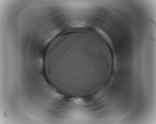 X0000099560113200805301549