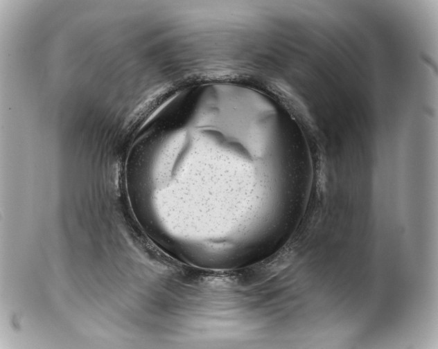 X0000099560115200805301549