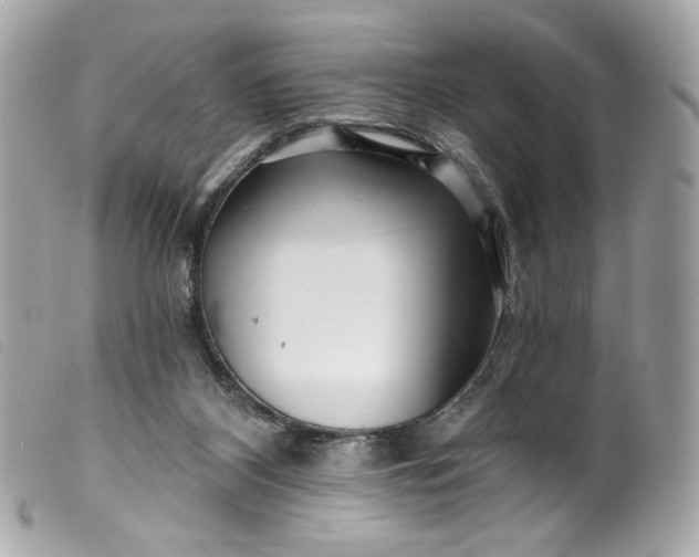 X0000099560116200805301549