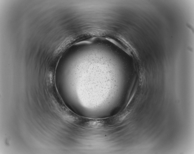 X0000099560117200805301549