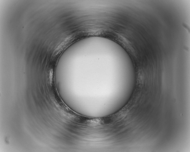 X0000099560118200805301549