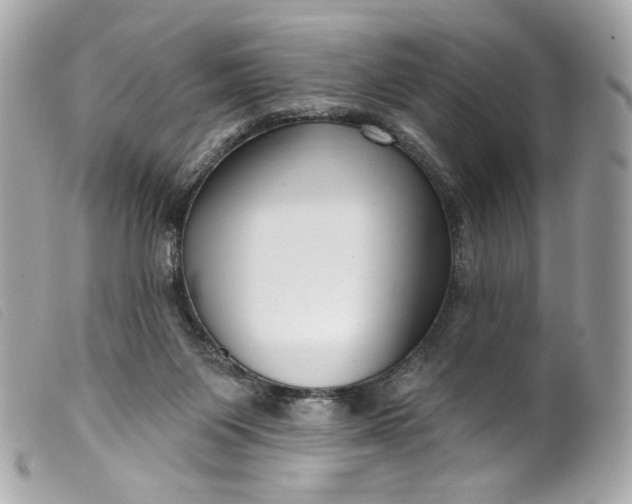 X0000099560119200805301549