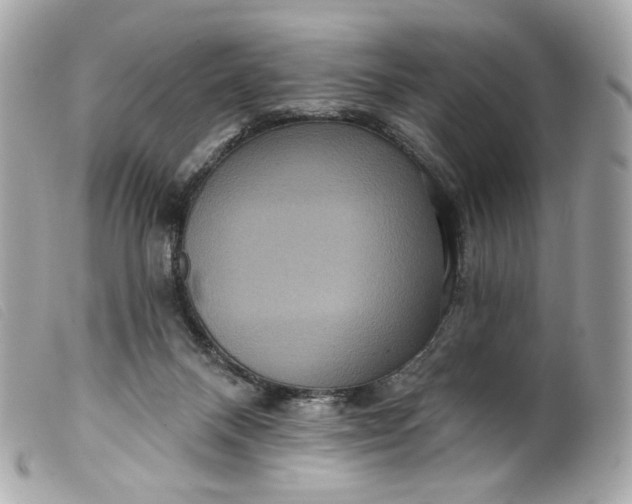 X0000099560120200805301549