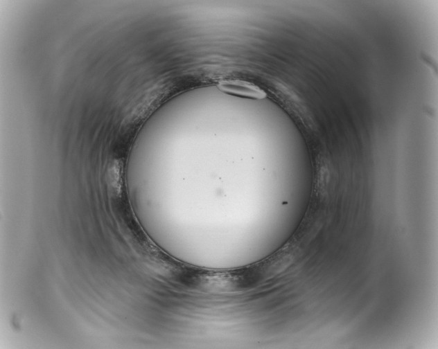 X0000099560121200805301549