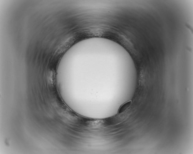 X0000099560122200805301549