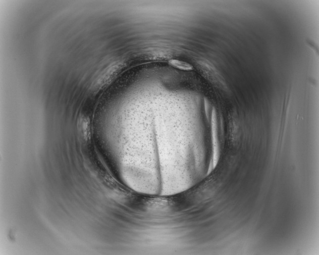 X0000099560123200805301549