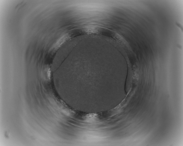 X0000099560124200805301549