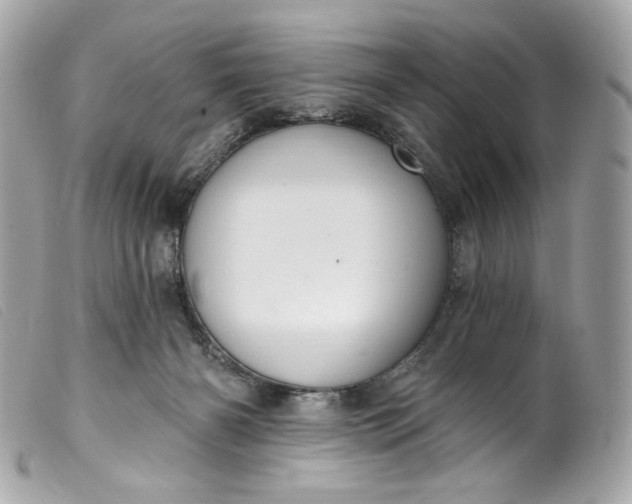 X0000099560126200805301549