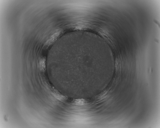 X0000099560127200805301549