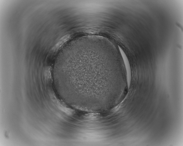 X0000099560128200805301549