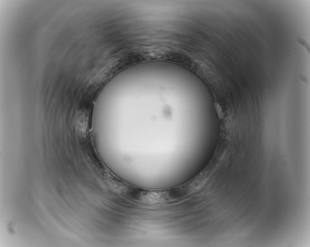 X0000099560129200805301549