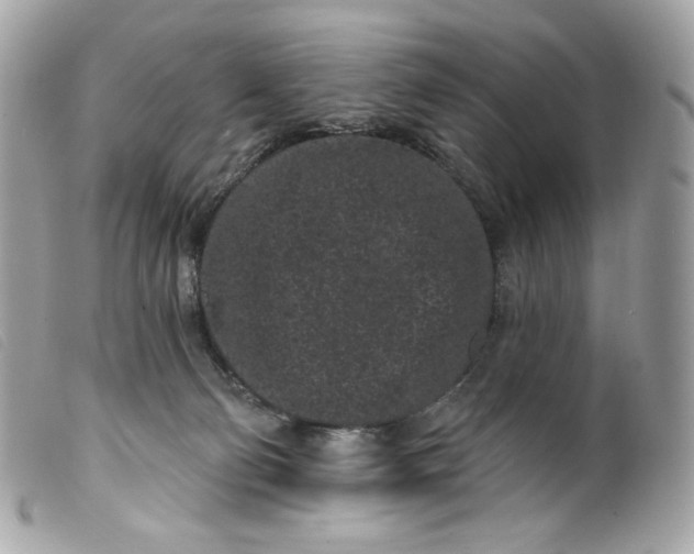 X0000099560130200805301549