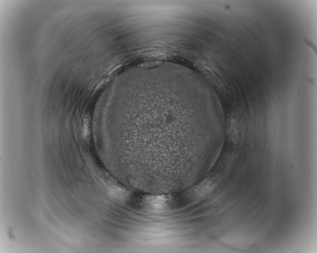 X0000099560131200805301549