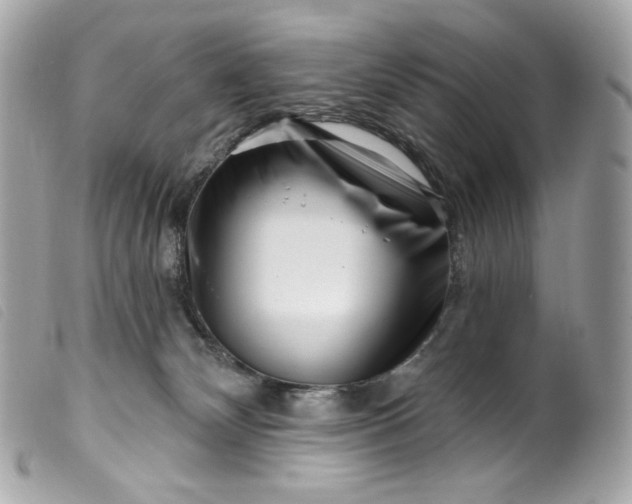 X0000099560132200805301549