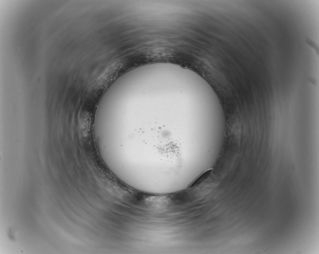 X0000099560133200805301549