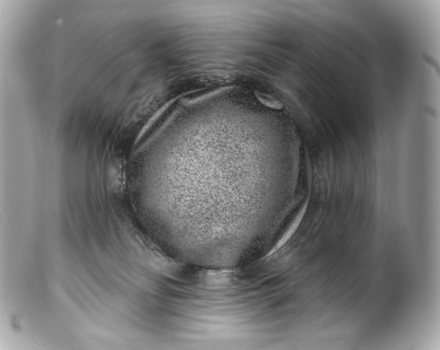 X0000099560134200805301549