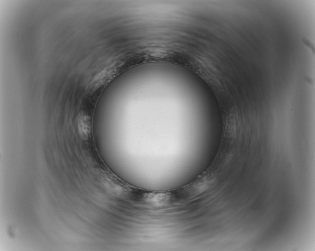 X0000099560135200805301549