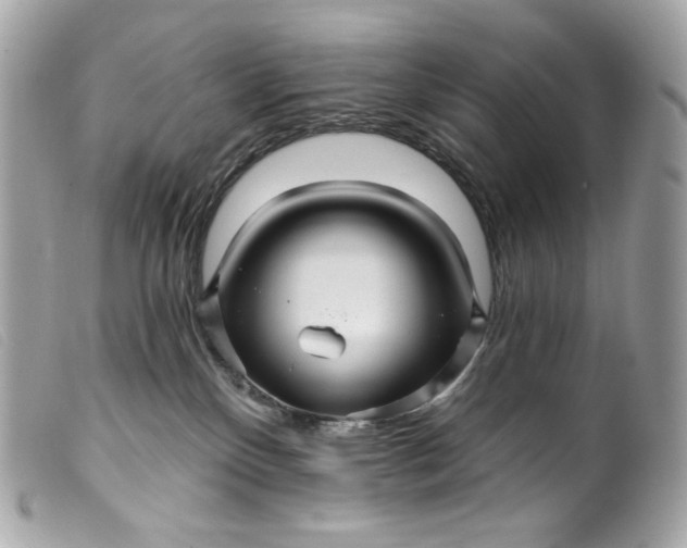 X0000099560136200805301549