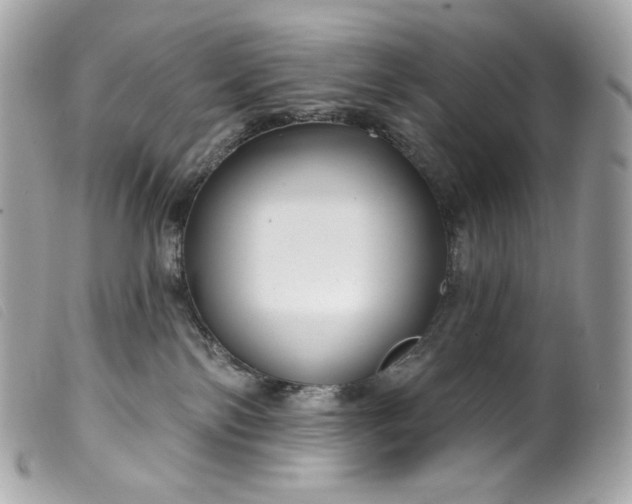 X0000099560138200805301549