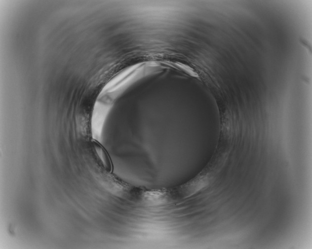 X0000099560139200805301549