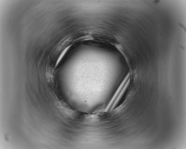 X0000099560140200805301549