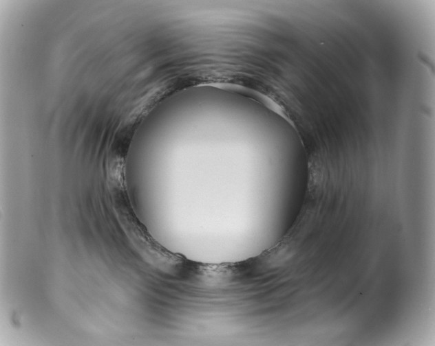 X0000099560141200805301549