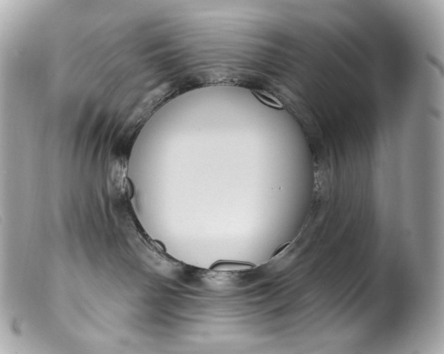 X0000099560142200805301549