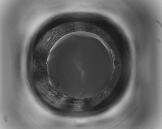 X0000099560143200805301549