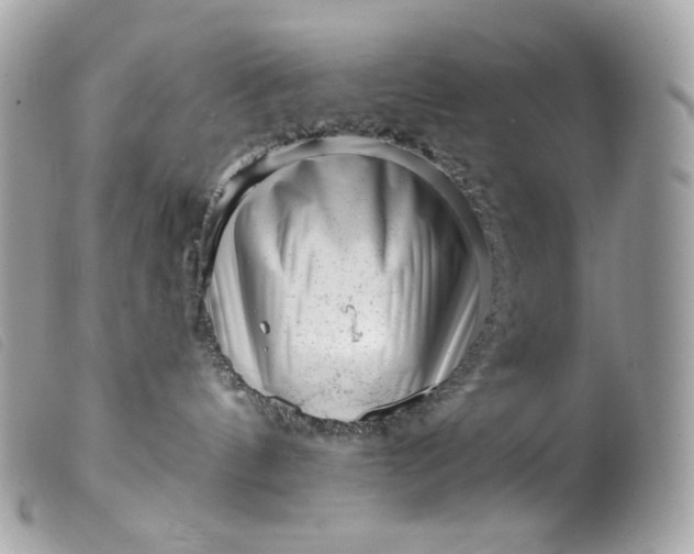 X0000099560144200805301549