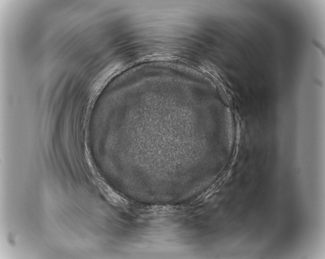 X0000099560145200805301548