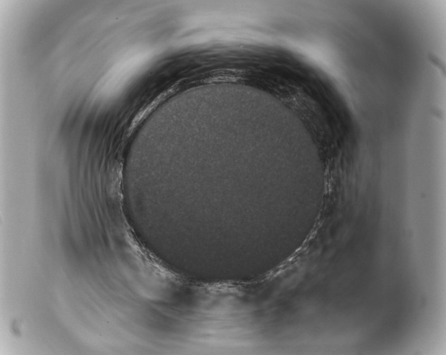 X0000099560146200805301548