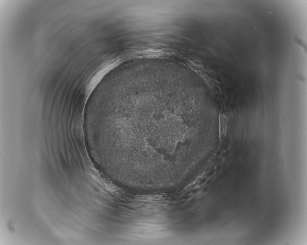 X0000099560147200805301548