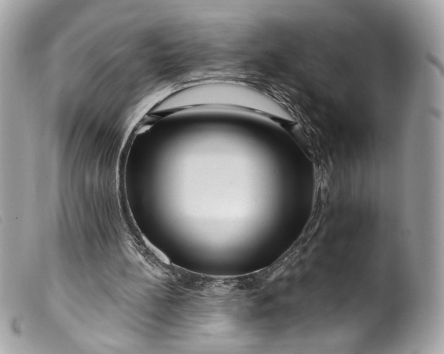 X0000099560148200805301548