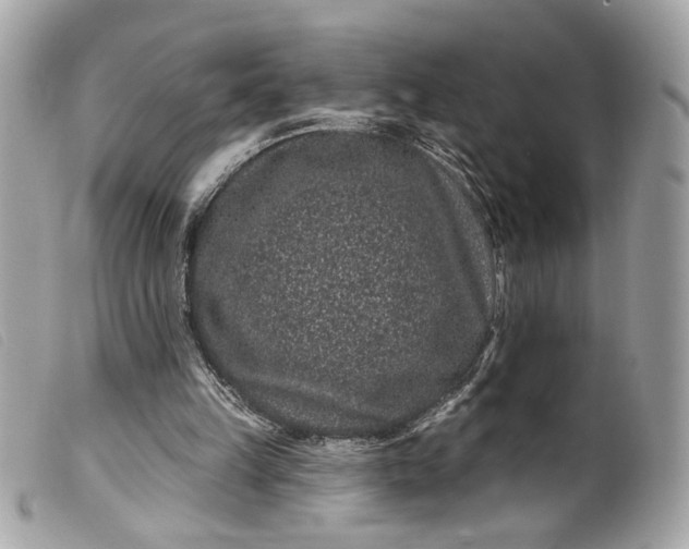 X0000099560149200805301548