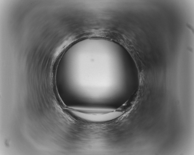 X0000099560150200805301548