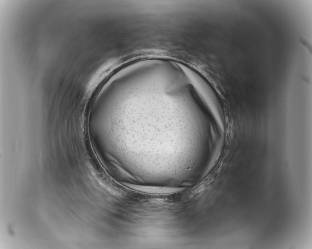 X0000099560151200805301548